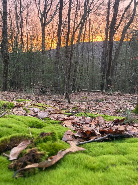 Berkshire's Fall Cleanse