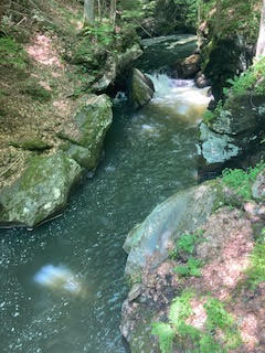 Berkshire's Summer Cleanse