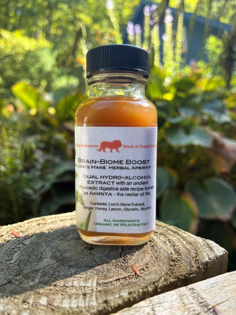 Brain-Biome Boost