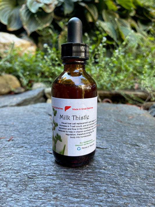 Milk Thistle