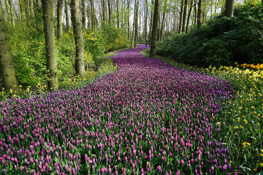 Berkshire's Spring Cleanse